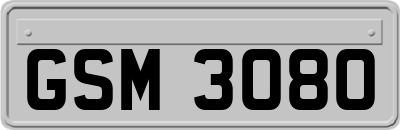 GSM3080