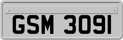 GSM3091