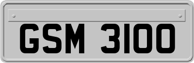 GSM3100