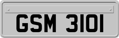 GSM3101
