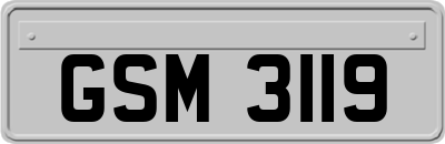 GSM3119