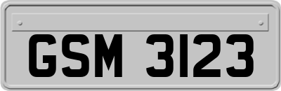 GSM3123