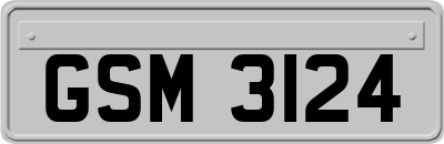 GSM3124