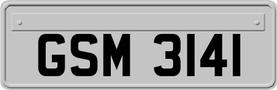 GSM3141