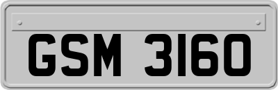 GSM3160