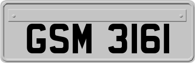 GSM3161