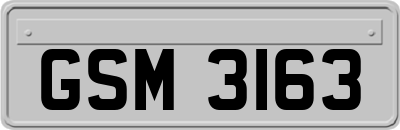 GSM3163