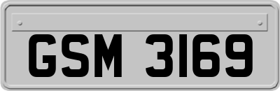 GSM3169