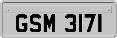 GSM3171