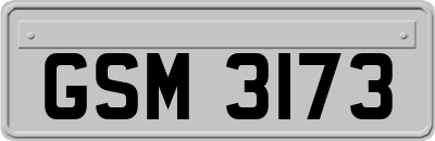 GSM3173
