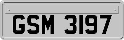 GSM3197