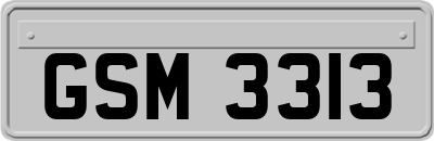 GSM3313