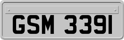 GSM3391