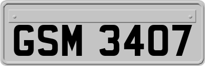 GSM3407
