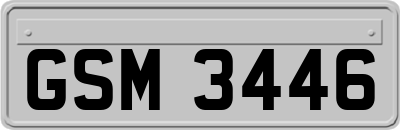GSM3446