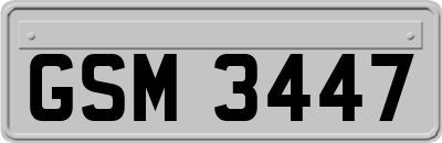 GSM3447