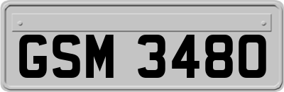 GSM3480