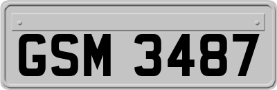 GSM3487