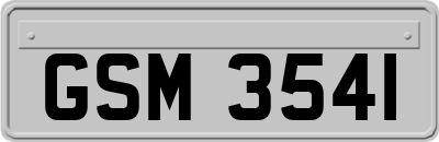 GSM3541