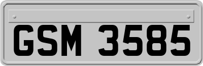 GSM3585