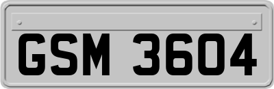 GSM3604