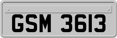 GSM3613