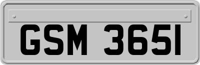 GSM3651