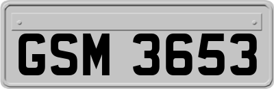 GSM3653