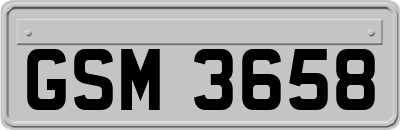 GSM3658