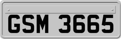 GSM3665