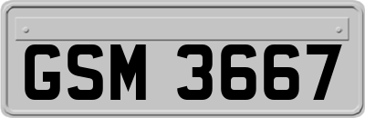 GSM3667