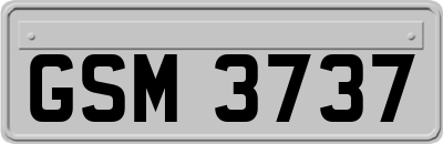 GSM3737