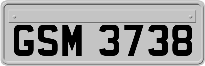 GSM3738