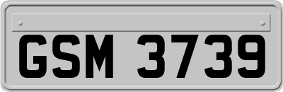 GSM3739