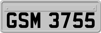 GSM3755