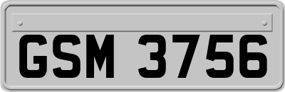 GSM3756