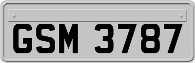 GSM3787