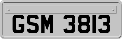 GSM3813