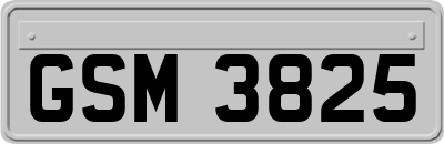 GSM3825