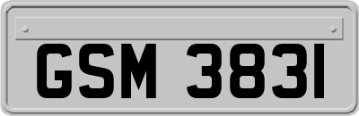 GSM3831