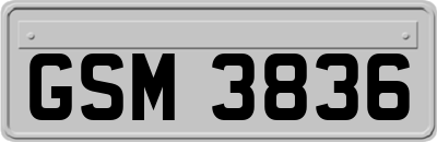 GSM3836