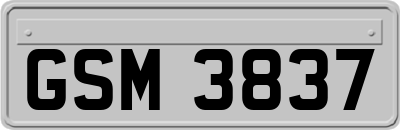 GSM3837