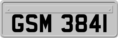 GSM3841