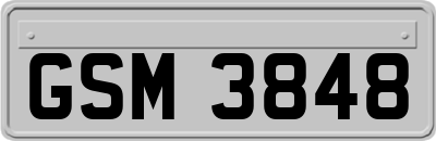 GSM3848