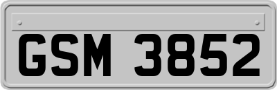 GSM3852
