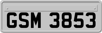 GSM3853