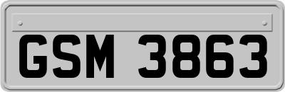 GSM3863