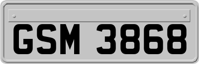 GSM3868
