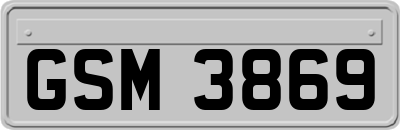 GSM3869