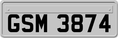 GSM3874